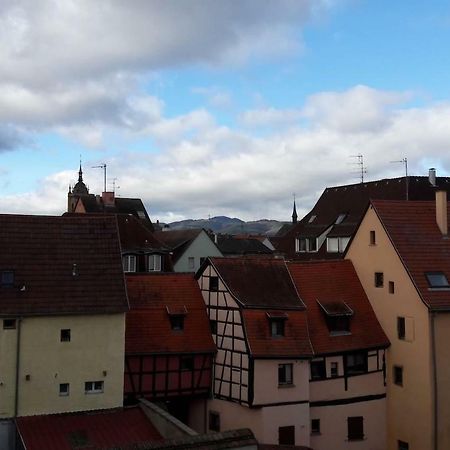 Gite Hopla 2 Chambres Colmar Luaran gambar