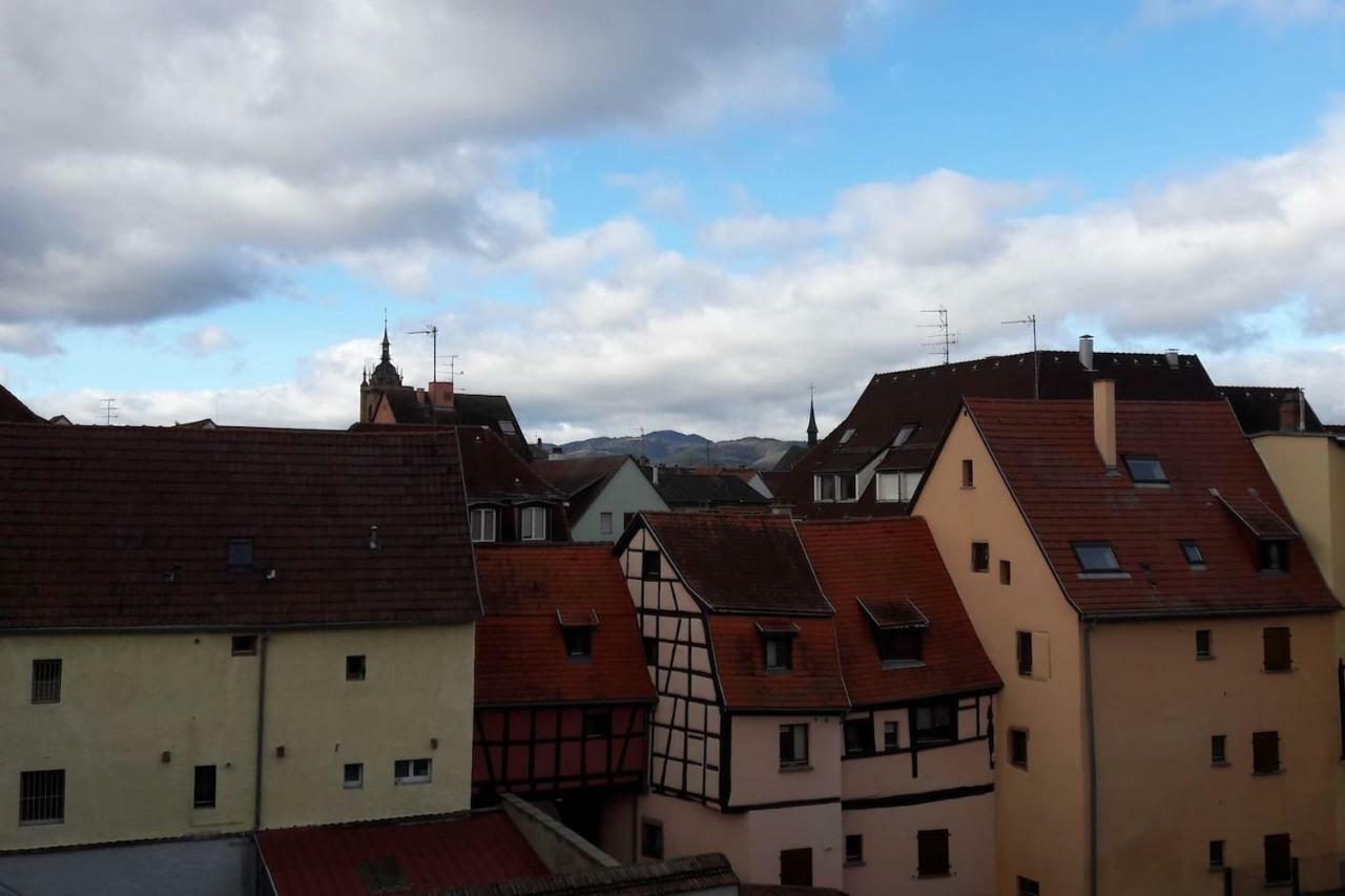 Gite Hopla 2 Chambres Colmar Luaran gambar